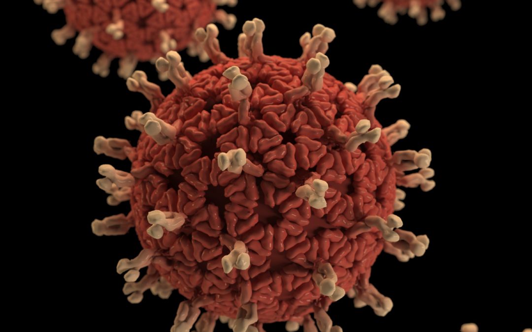 Is Coronavirus The Tsunami?
